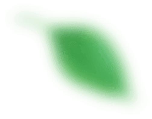 leaf2