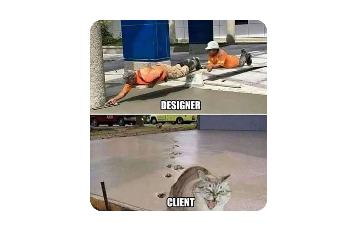 meme-36