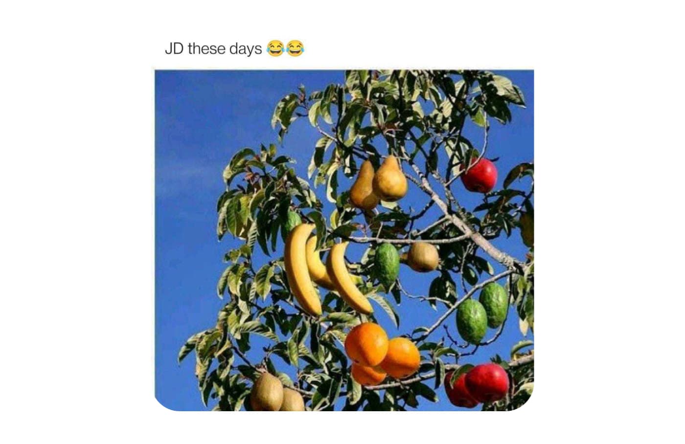 meme-22